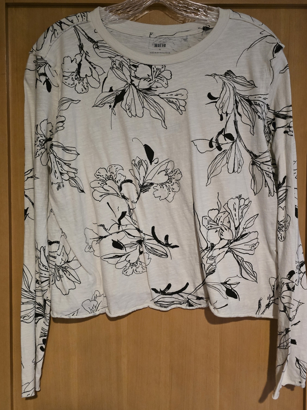 Athropologie Maeve Zsuppy Madewell T Shirts LOT